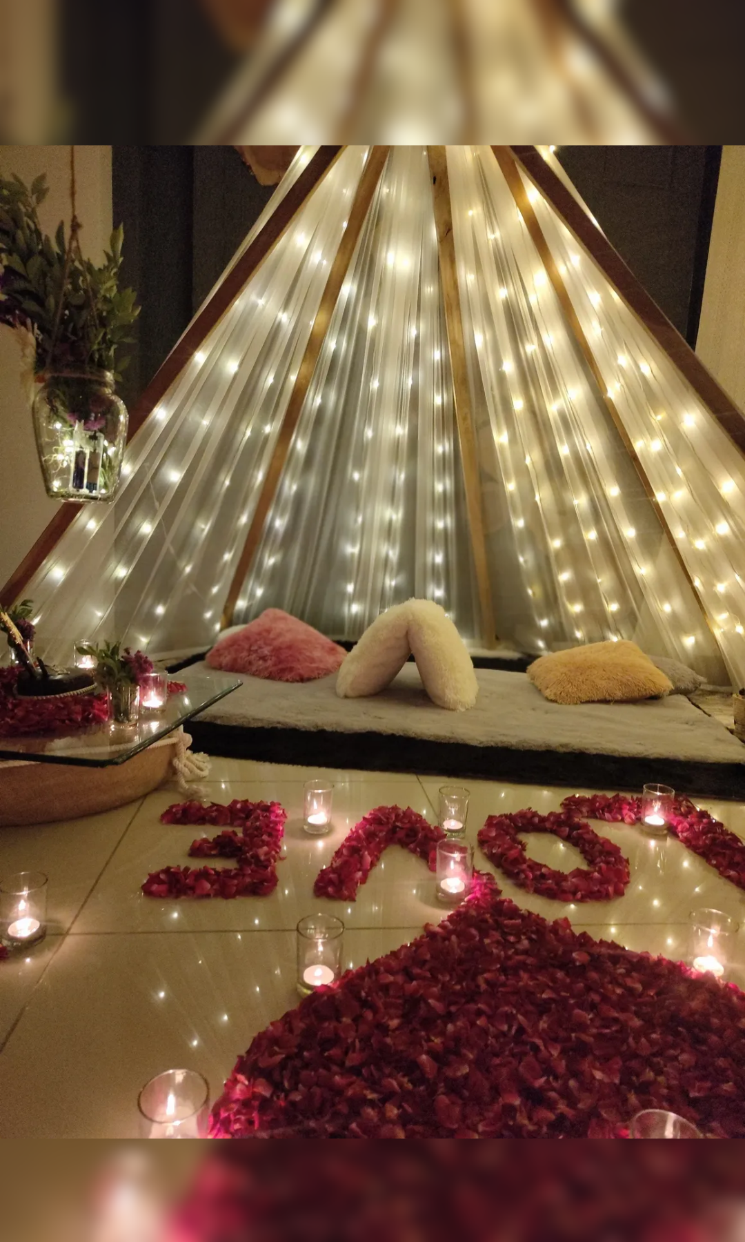 Golden Promise Glass House - Image 20