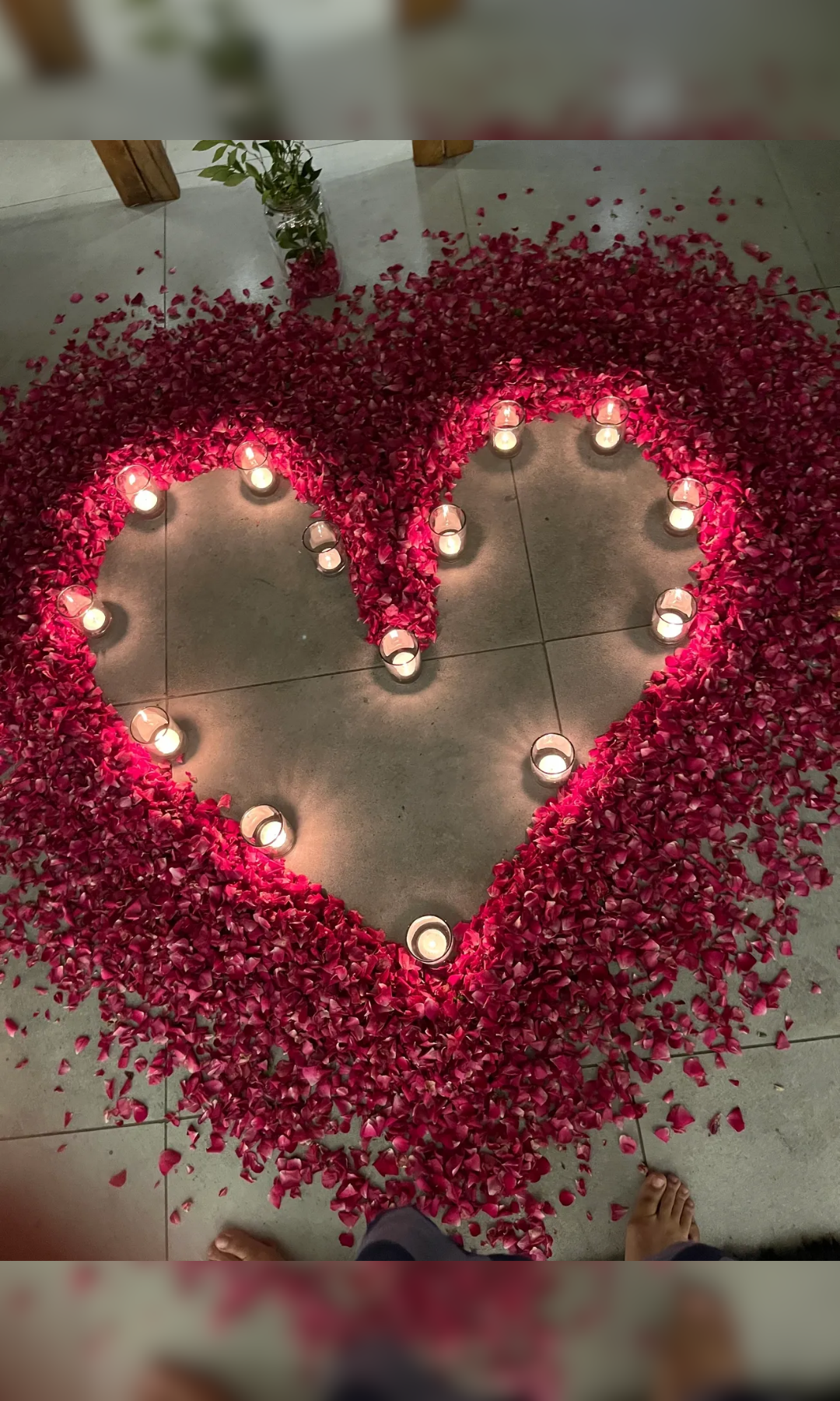 Pure Love Glass House - Image 8