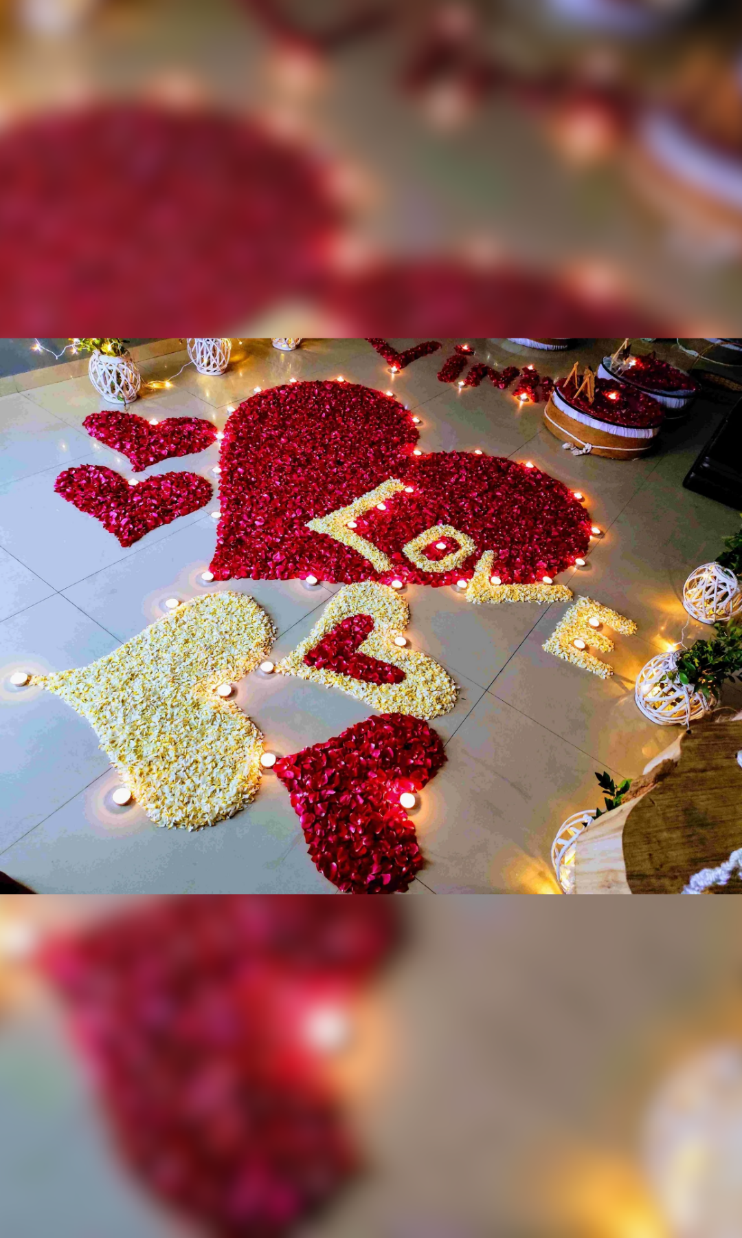 Timeless Bond Glass House - Image 2