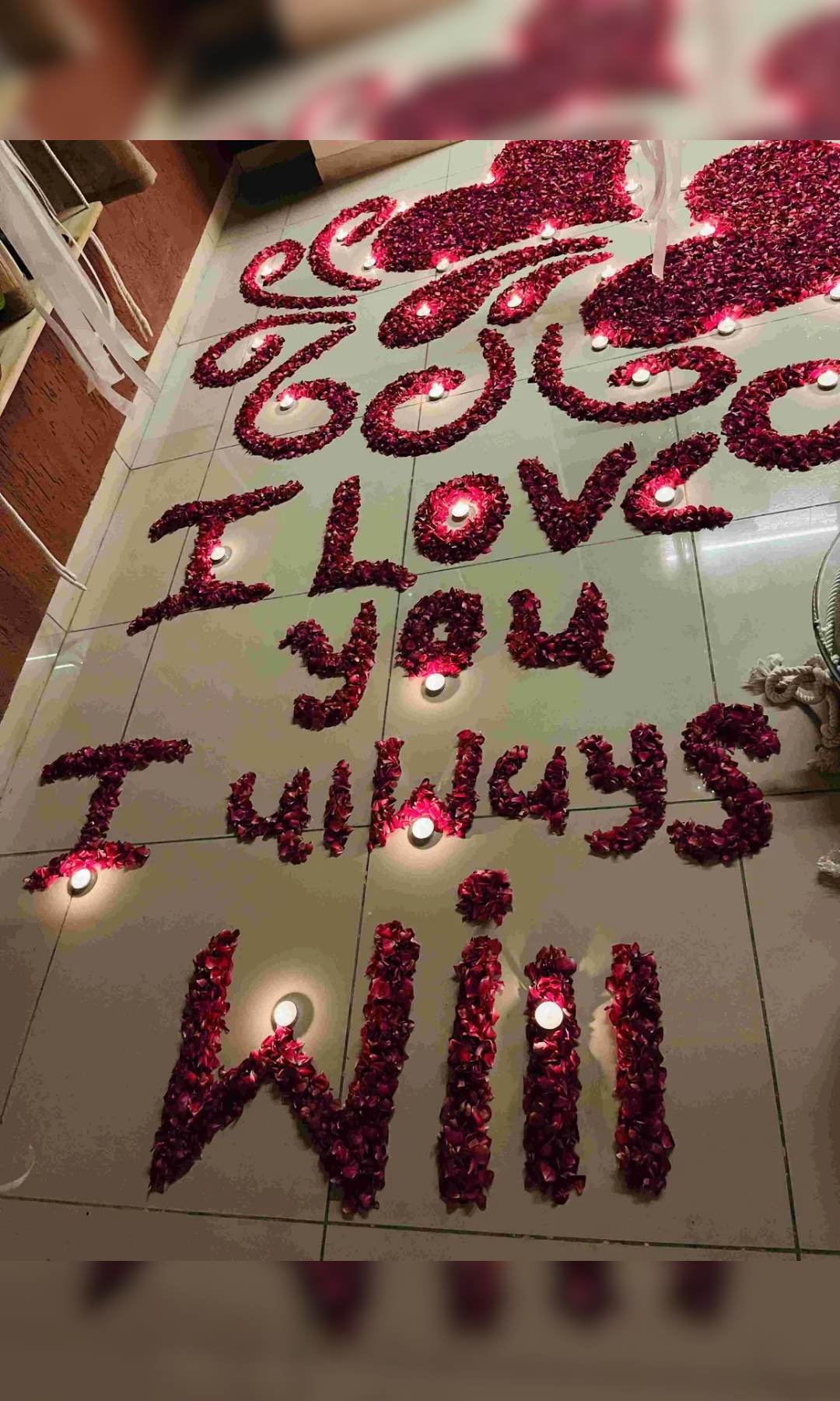 Timeless Bond Glass House - Image 5