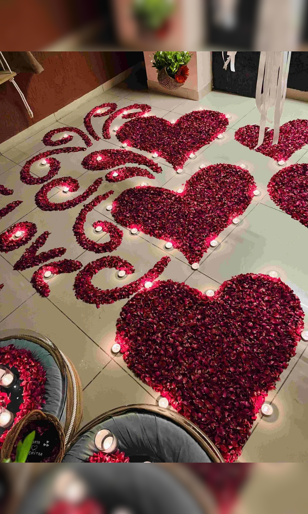 Timeless Bond Glass House - Image 6