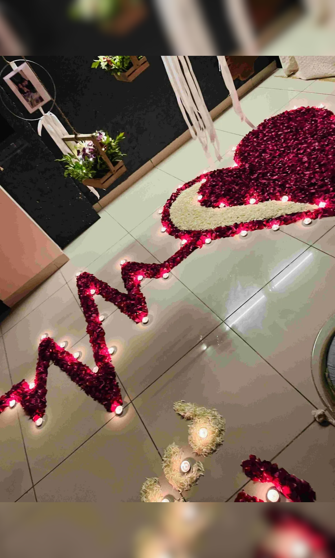 Timeless Bond Glass House - Image 8