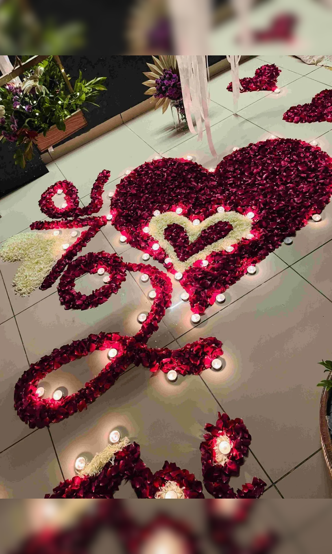 Timeless Bond Glass House - Image 9