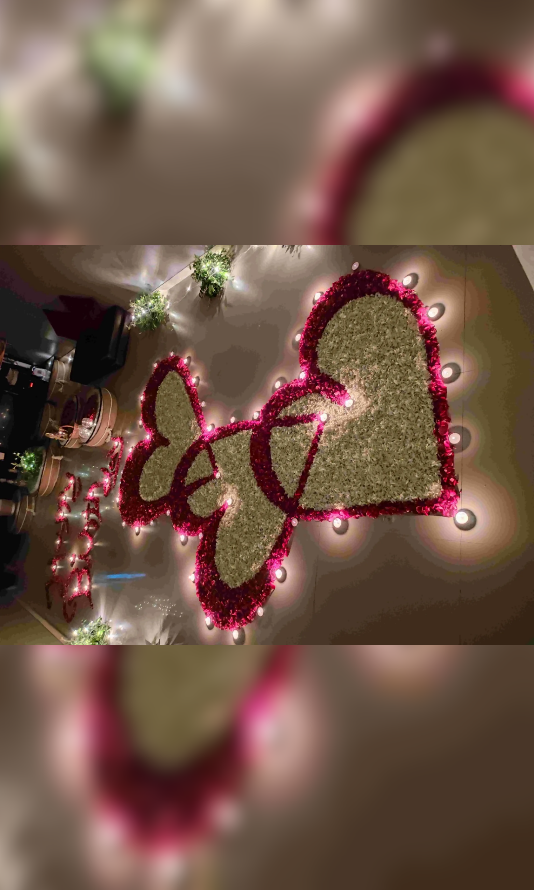 Timeless Bond Glass House - Image 11