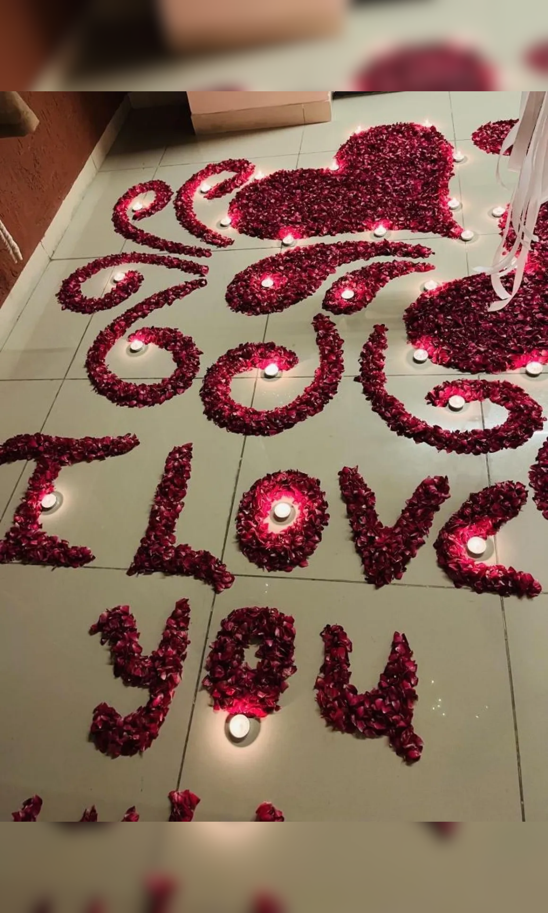 Timeless Bond Glass House - Image 16