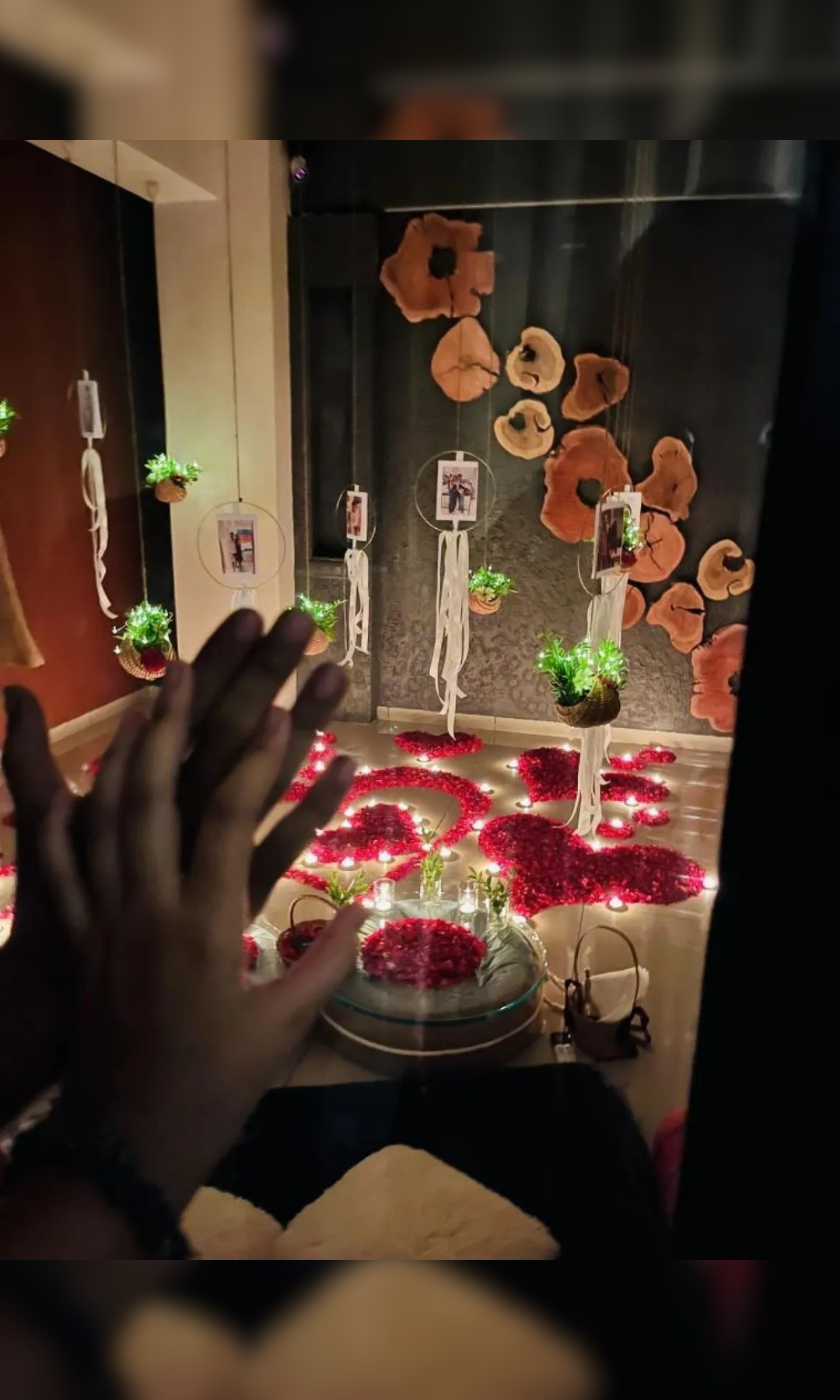 Timeless Bond Glass House - Image 18